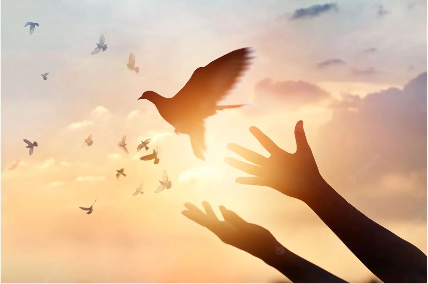 Naslovna - Pogrebno In Memoriam 